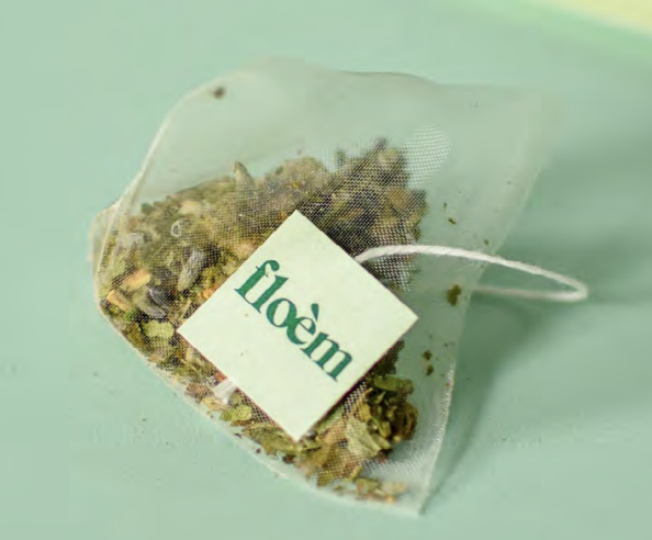 Floèm : la flore québécoise dans une tasse