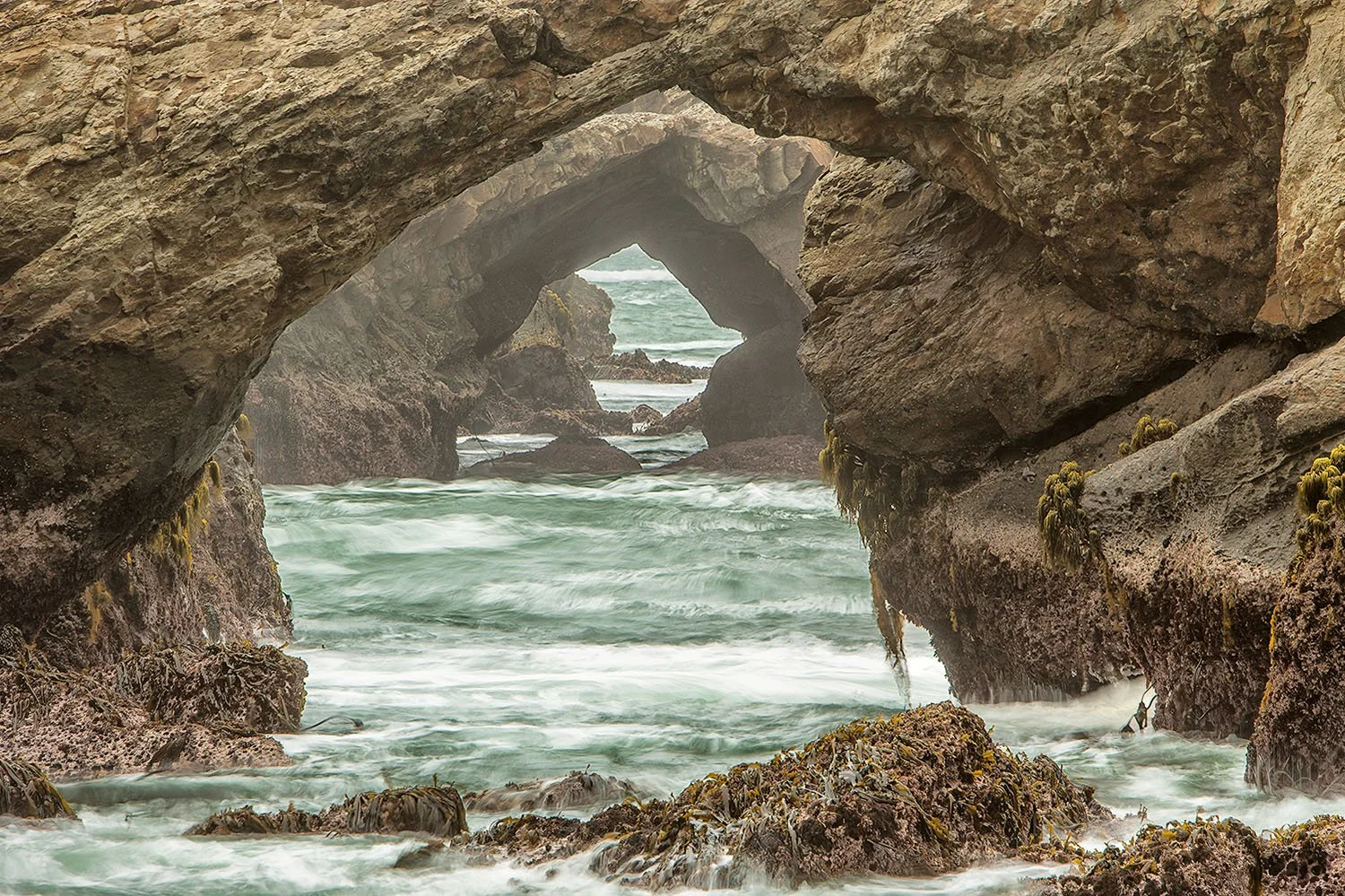 Seals Eye View No 1.jpg