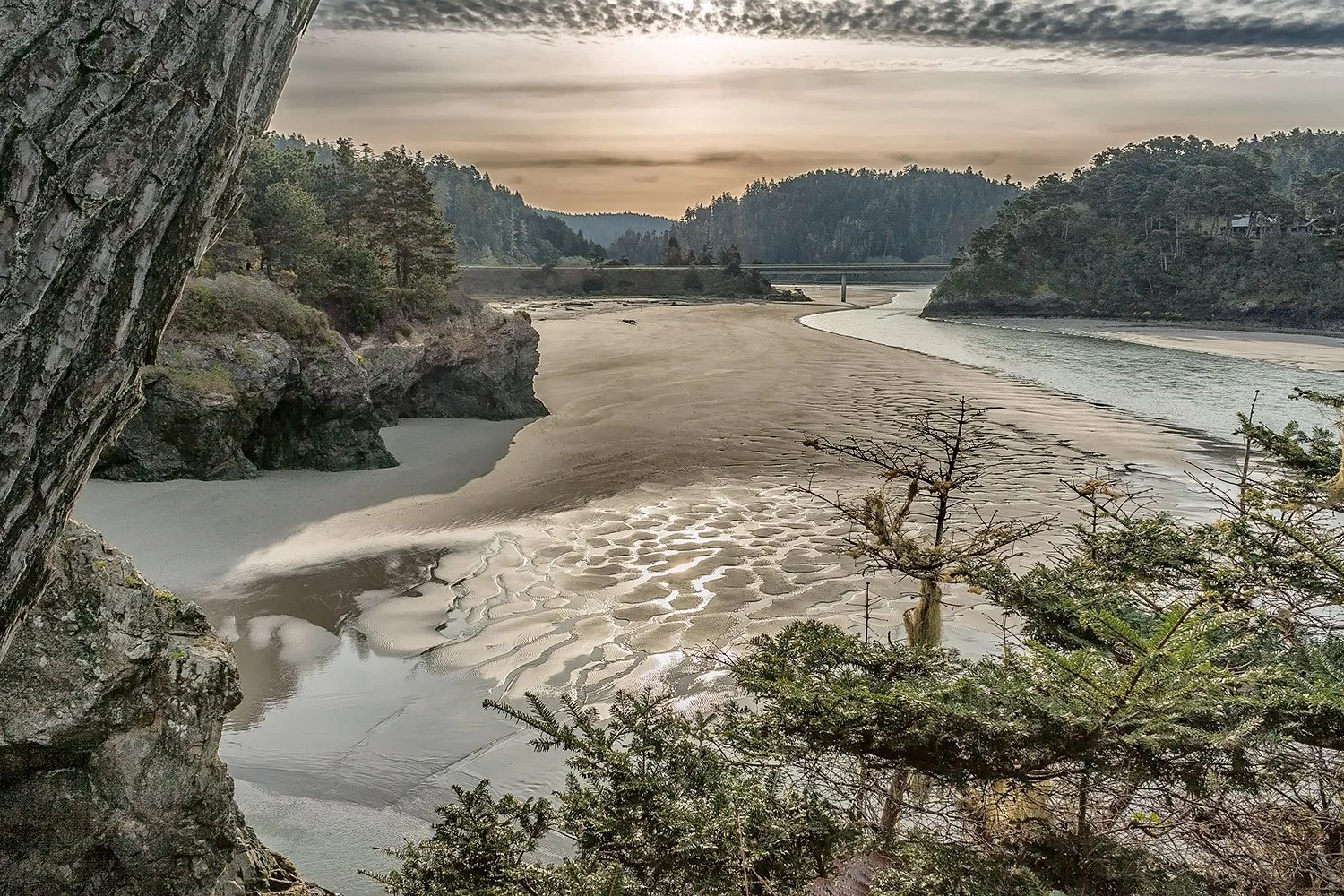 Luminous Morning.jpg