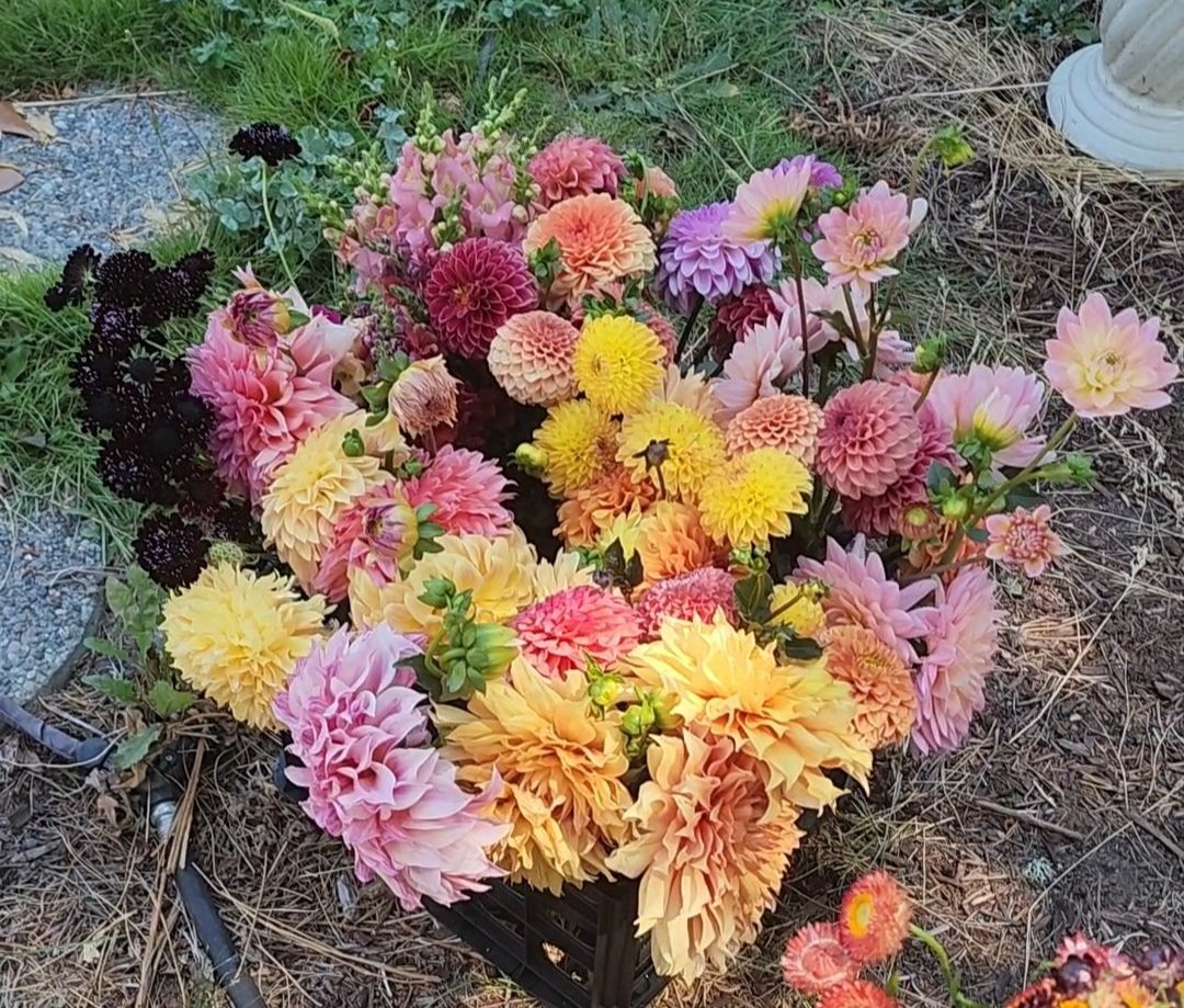 20230816_135134.jpg
