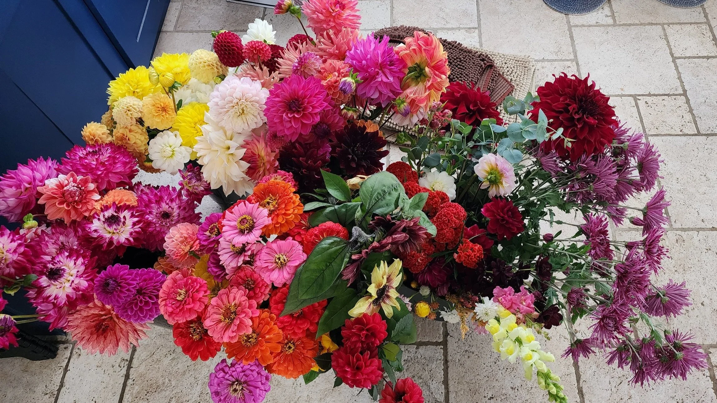 Bucket of Blooms — Phlora Flower Farm