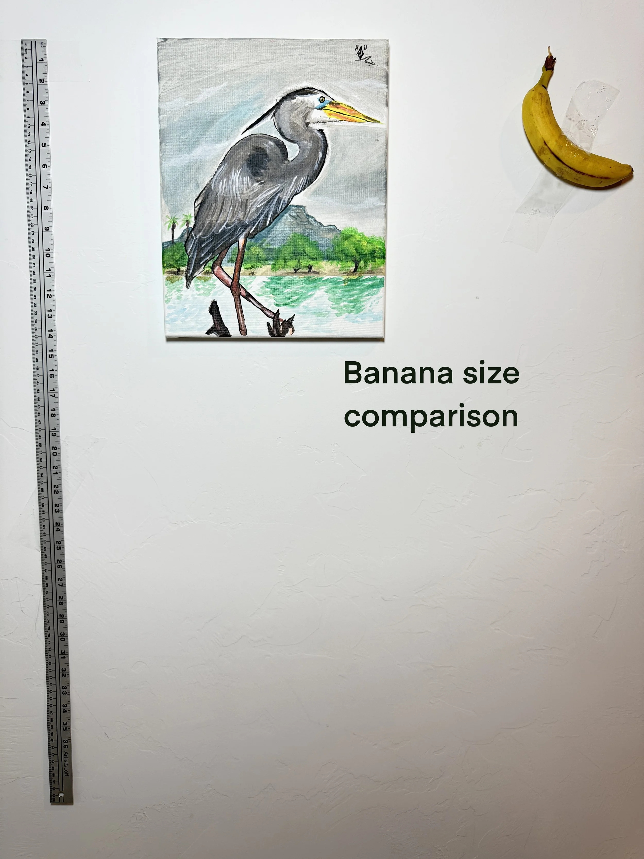 IMG_1467.jpeg
