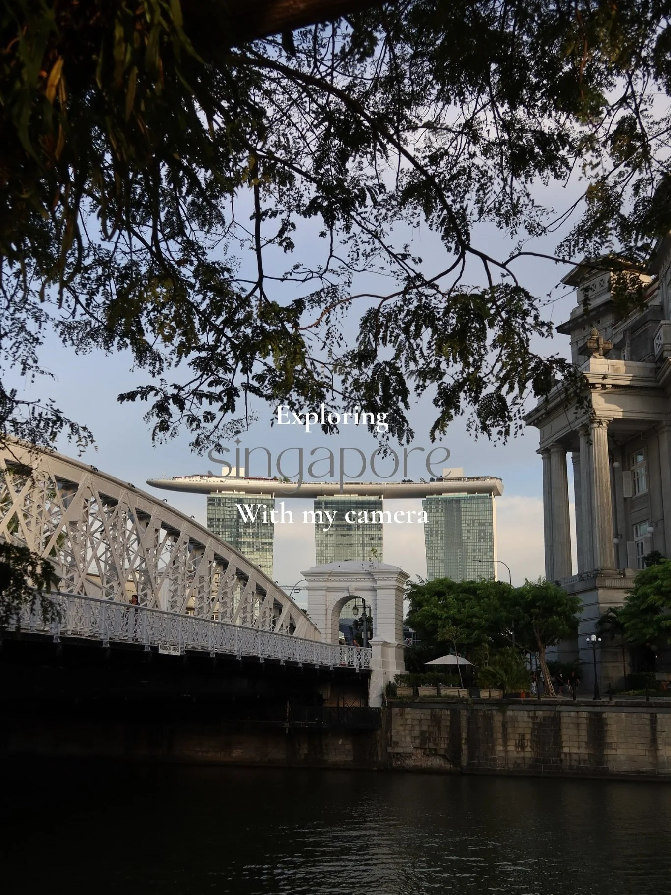 Exploring Singapore with my camera 🇸🇬
&bull; Gardens by the bay 
&bull; Marina bay
&bull; Botanical gardens 

#singapore #travelohotography #canon #photography #gardensbythebaysingapore #gardens #marinabay #botanicalgardenssingapore #adventuring