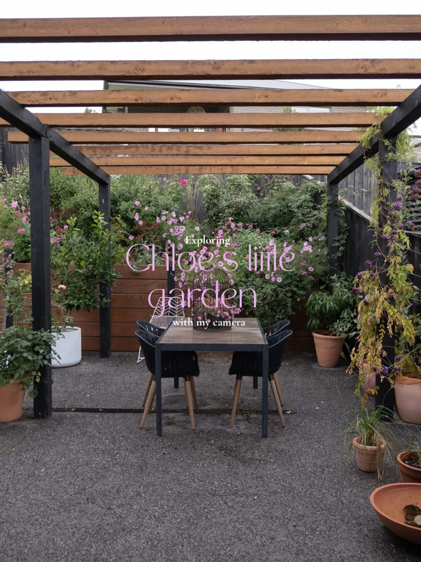 I was very lucky to photograph my beautiful friend Chloe and stunning her garden.
Chloe built up her garden from scratch fixing the soil quality and planting all her beautifully selected plants to create a colourful and inviting space. 
Even though i