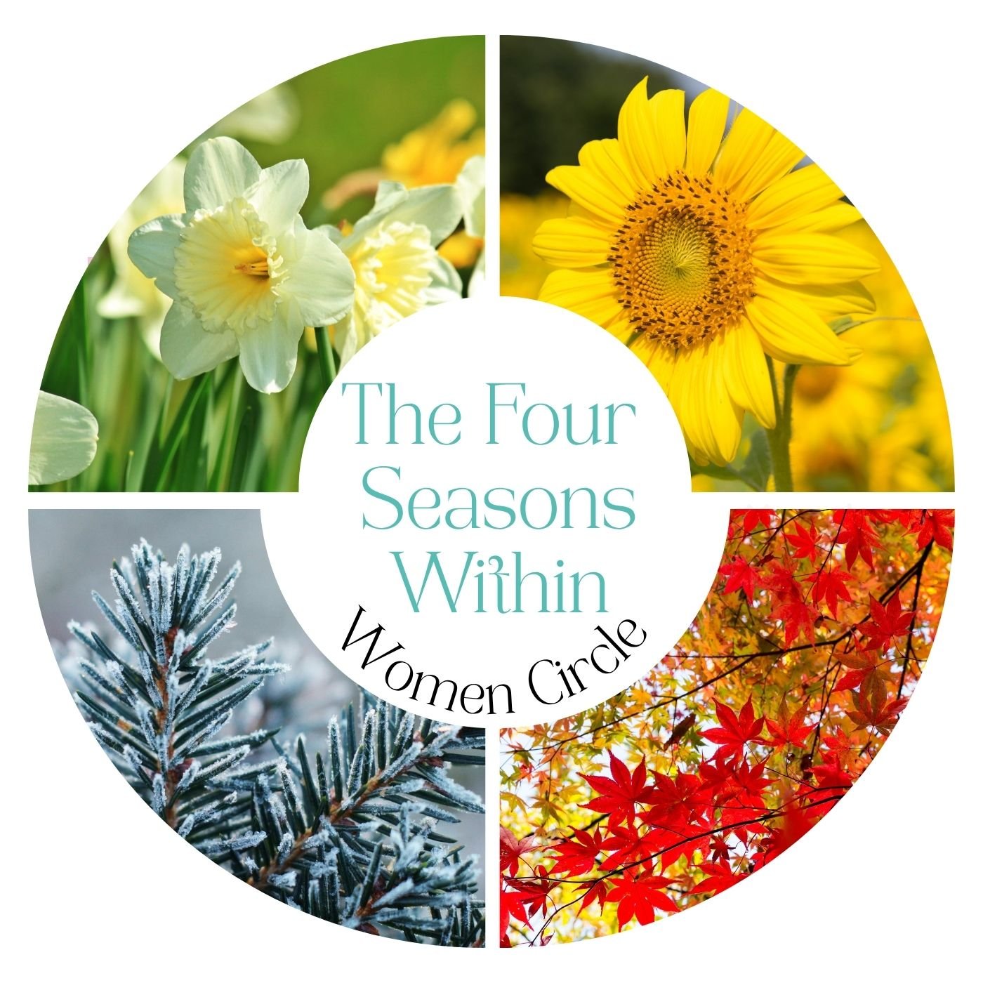 The Four Seasons Within Women Circle