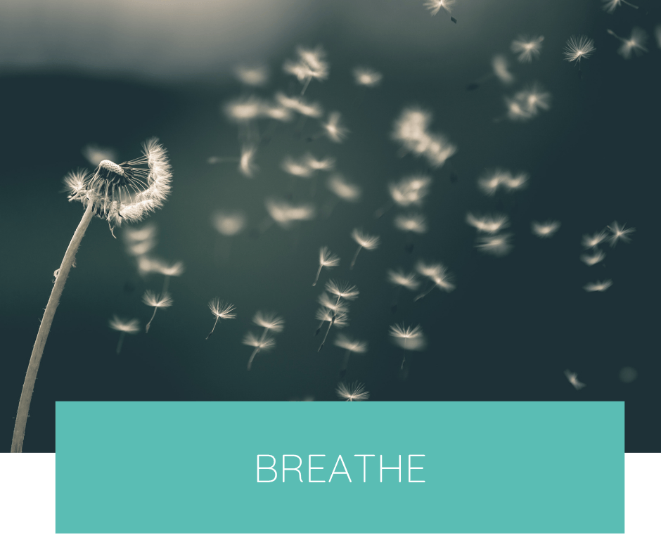 Breathe — A Simple Guide for Breathing