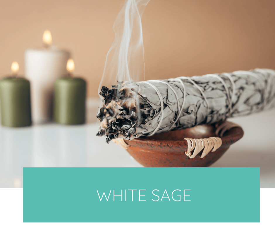 White Sage - Clearing Guide