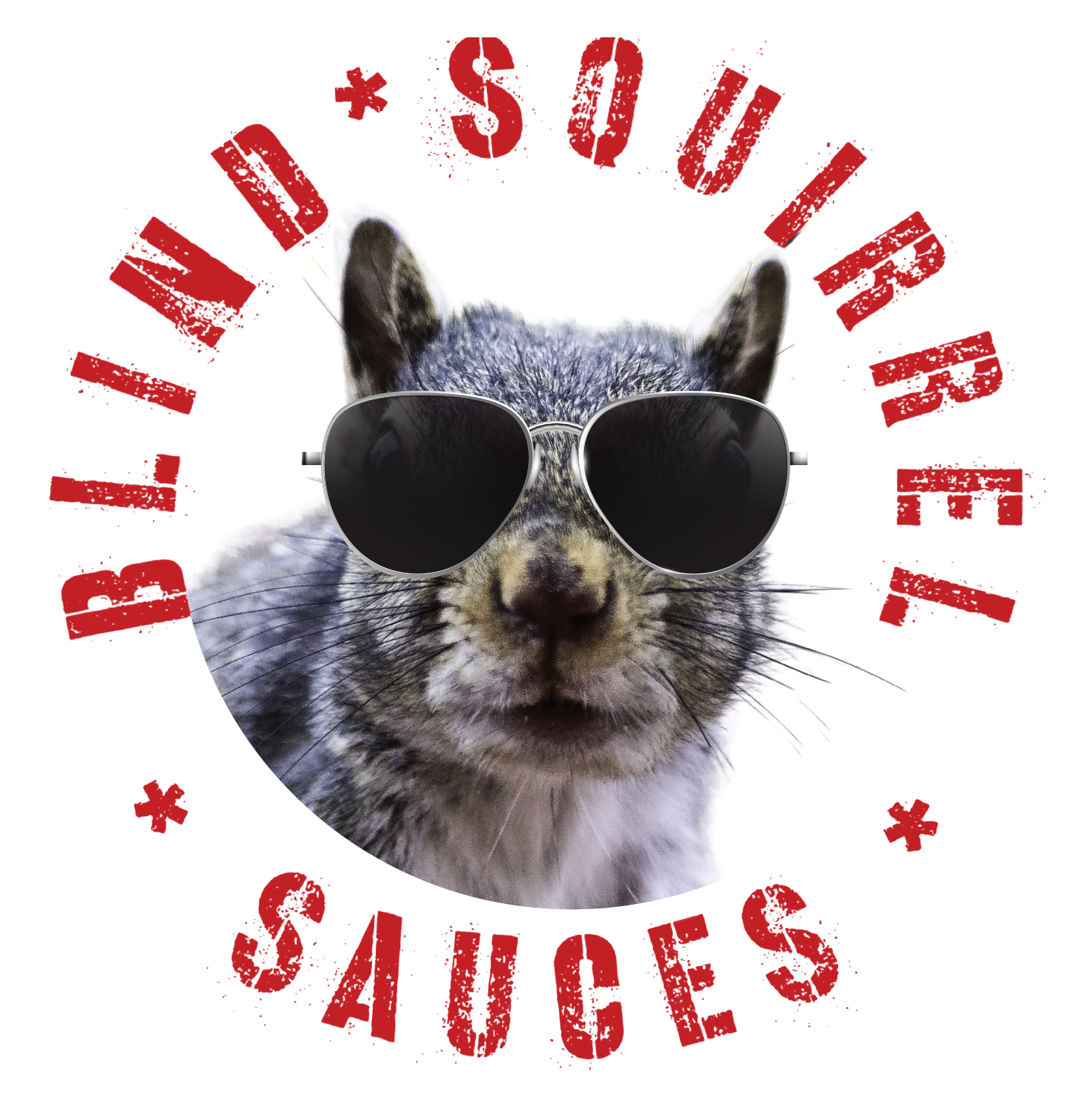 Blind-Squirrel-LOGO (1) (1).png