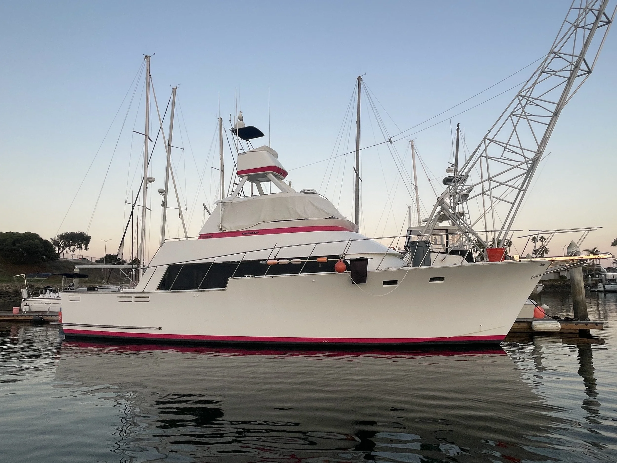 ELLIOT Yachtfisher 50