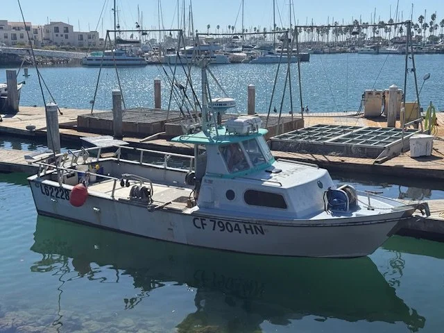 Vega Marine (Willard)