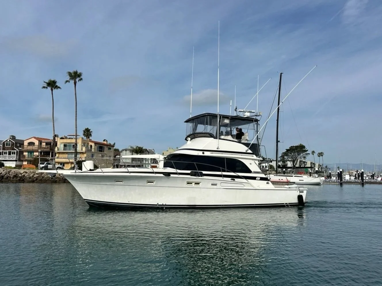 Bertram 46