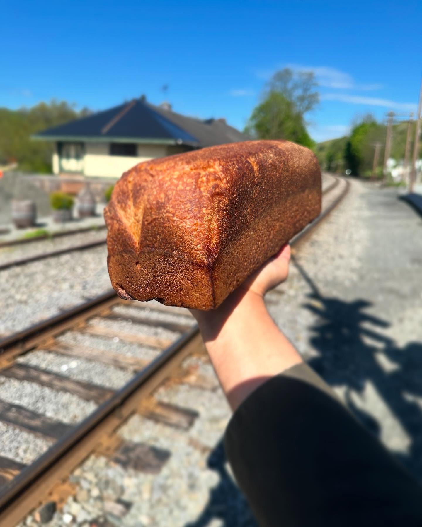All aboard le Pullman 🚋

Just across the street from the bakery sits the old Callicoon Train Depot, once the beating heart of town. From the 1850s through the mid-1900s, the Erie Railroad stopped right here, connecting Callicoon to the rest of the w