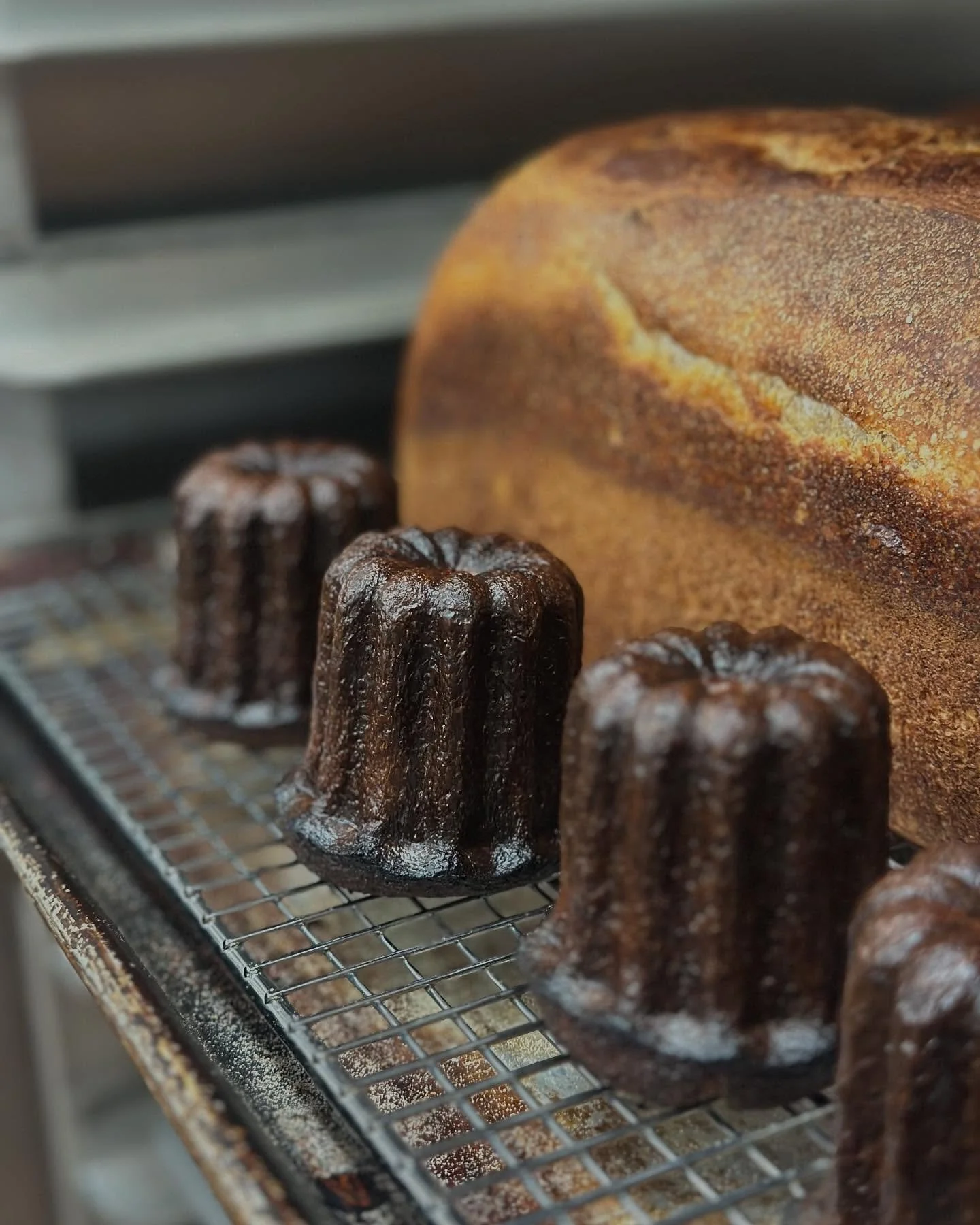 Canel&eacute;s are here and we&rsquo;re kind of obsessed. These little caramelized gems are rum custard pastries with a crispy, chewy shell and a soft, gooey center. The batter develops for a few days before being baked in copper molds seasoned with 