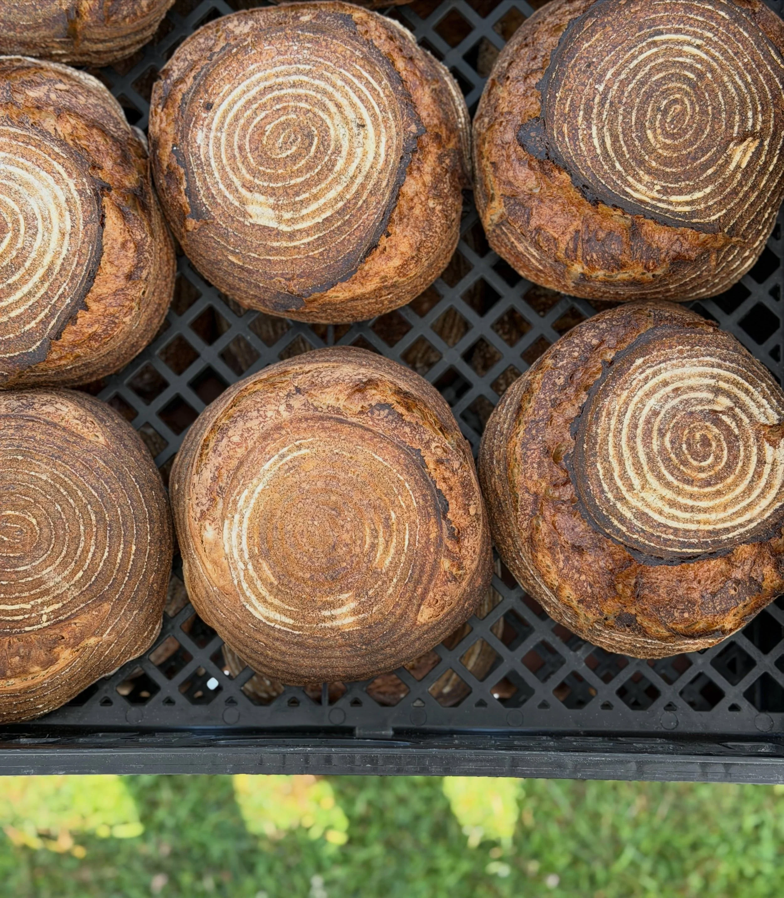 Saturdays are market days 😍. Honored to be amongst amazing farmers and local food producers here in Narrowsburg @narrowsburgfarmmarket.  Every Saturday 10a-1p through October.

Come grab a loaf (or just stop and chat grains)👋🏽
See you soon

- E