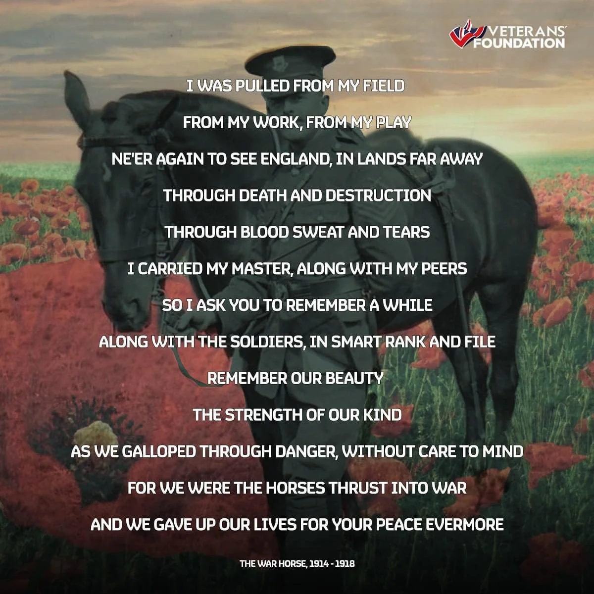 13 astonishing facts and stories about war horses of WW1 and WW2.

https://www.thebrooke.org/get-involved/every-horse-remembered/war-horse-facts