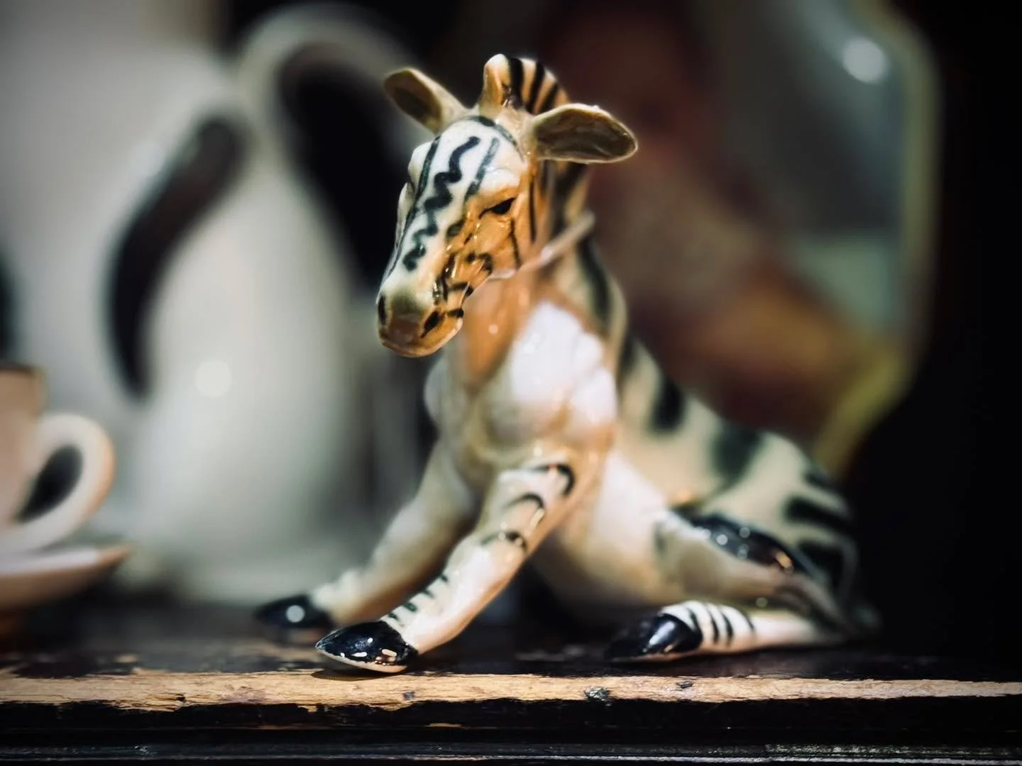 The best gifts don&rsquo;t come wrapped &mdash; they come with hooves, paws, and second chances. 
Thank you for helping us give animals the peace they deserve this season.

#HolidayMagic #SanctuaryLife