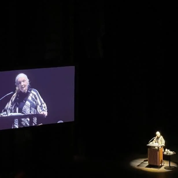 What an incredible individual who wouldn&rsquo;t stop doing all she could to make a difference. So grateful I had a chance to see her speak recently. What a Legacy. 
Goodbye Sweet Jane

#jane #janegoodall #inspiration #legacy