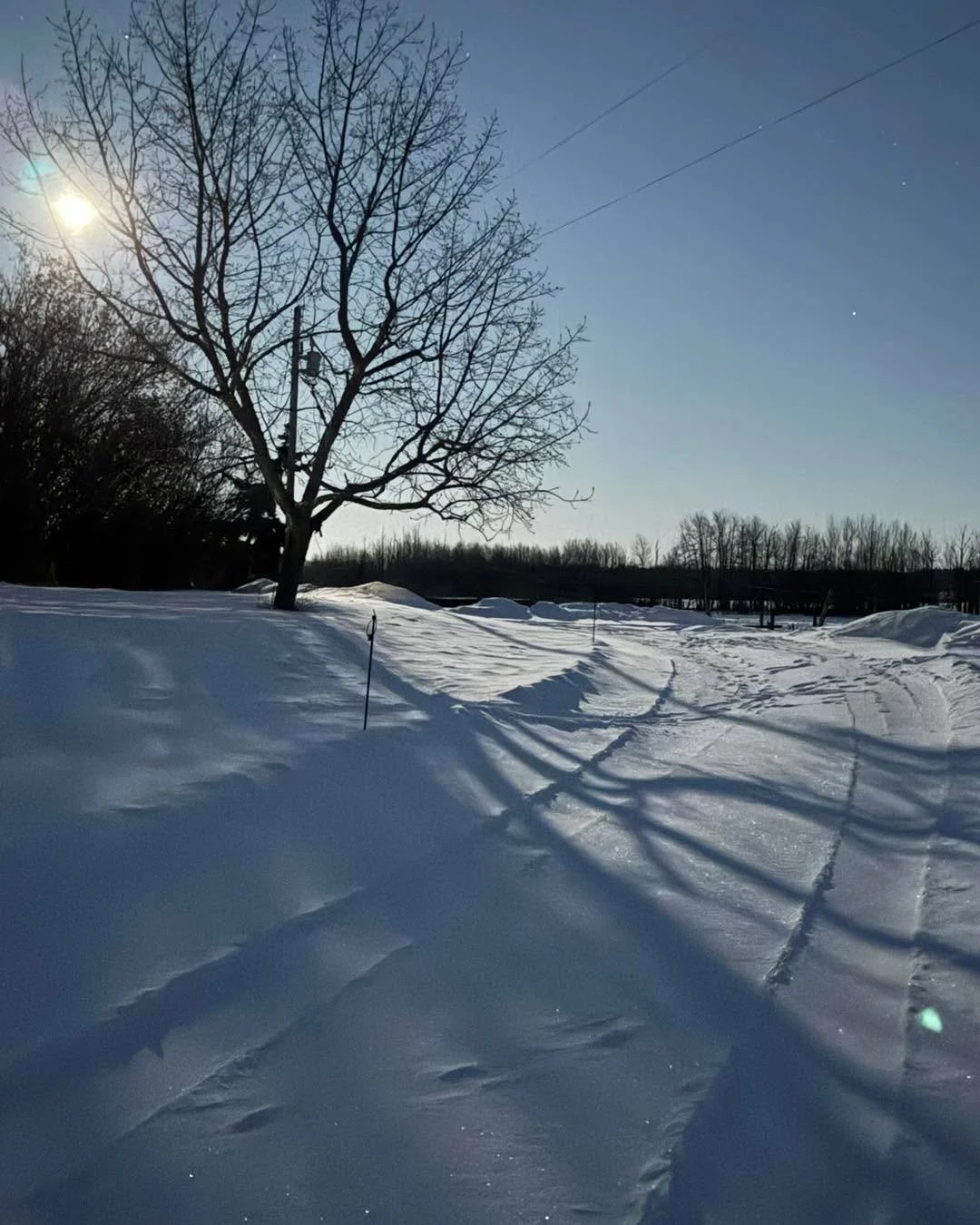 The first snowfall always brings a little magic to the ranch. 
Our animals are tucked in, our hearts are full, and this is your reminder: kindness warms everything.

#WinterAtRubicon #ChooseCompassion

#rubiconranch #sanctuary