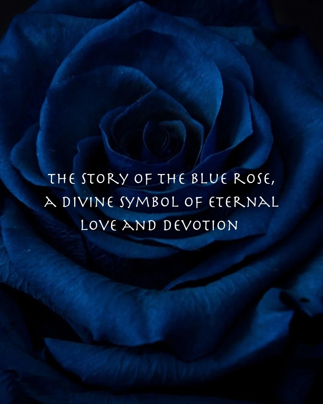 A love so cosmic and infinitely eternal 💙🌹💙

#GodGoddess
#DivineFeminine
#DivineMasculine
#AncientTeachings
#BlueRose