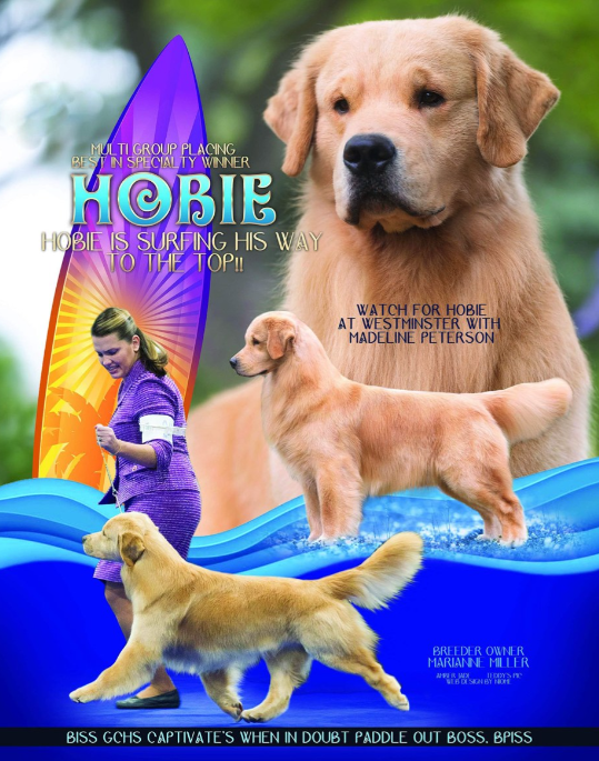 when in doubt paddle out.png