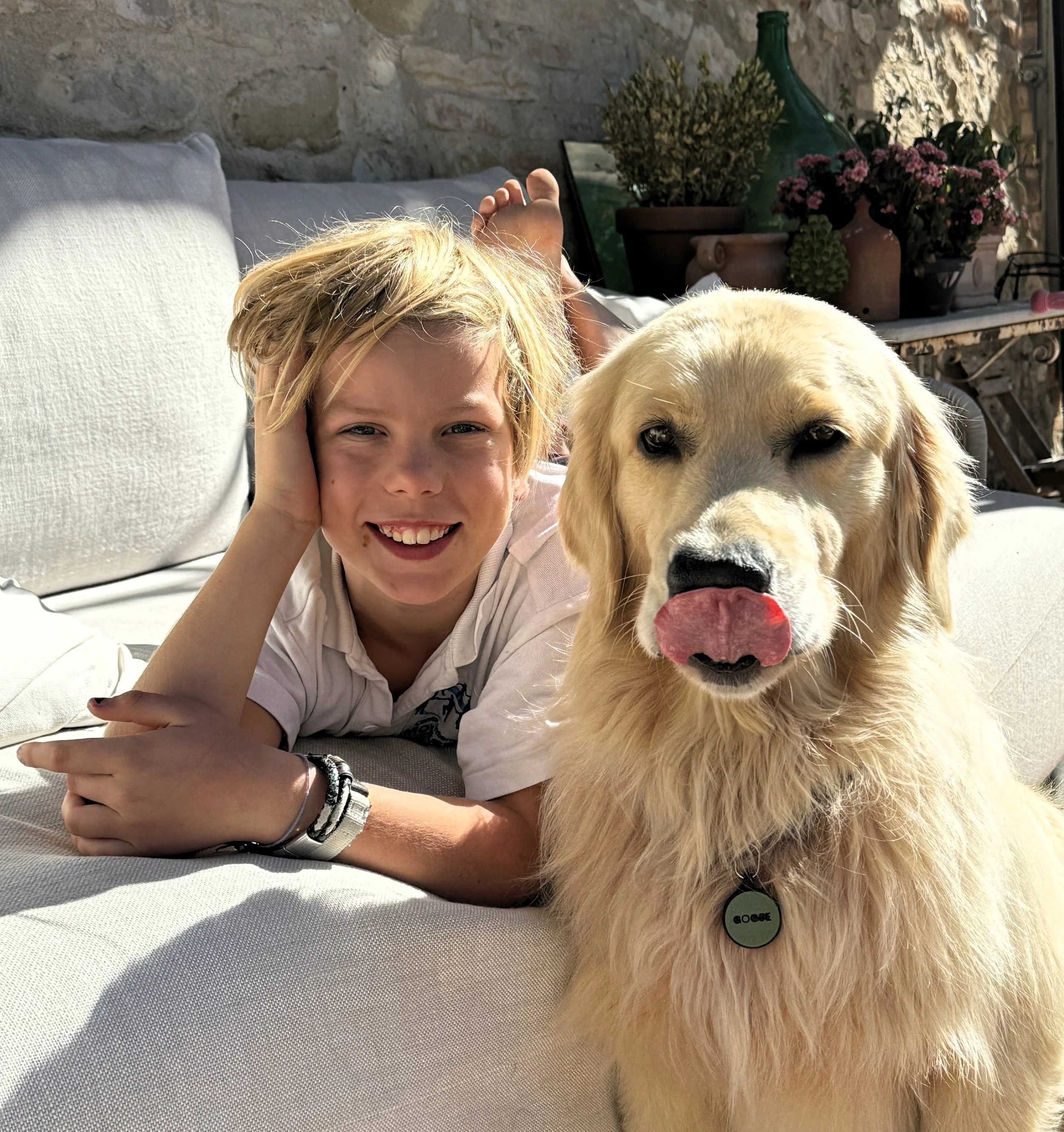 saddle brook goldens client review