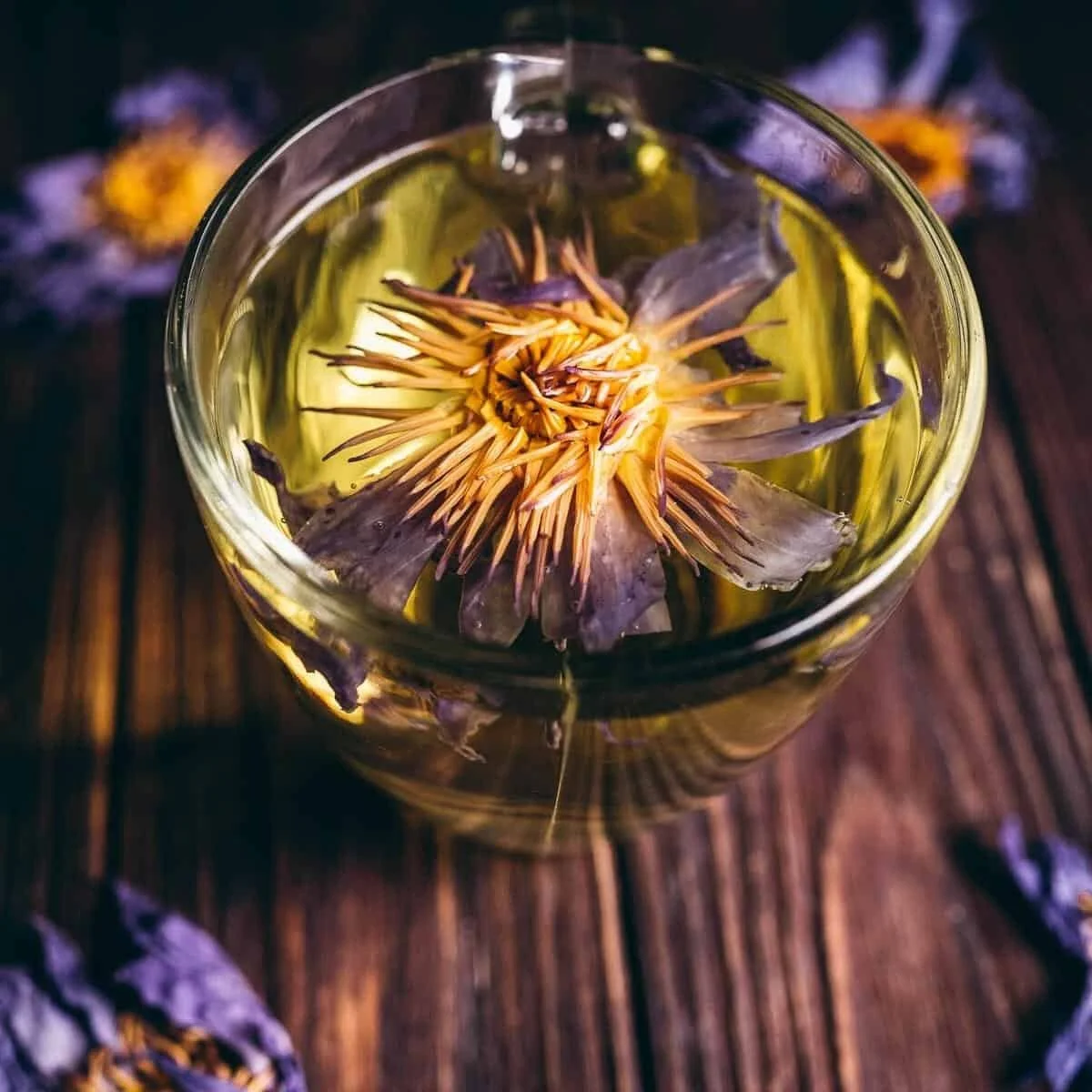 Botanical Alchemy Consulting Package