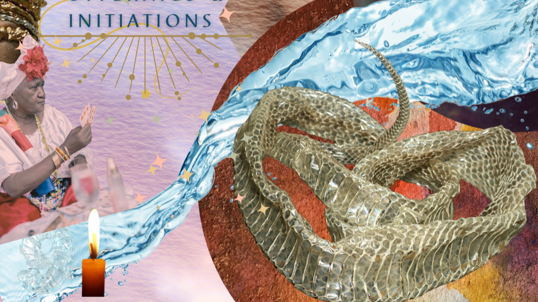 Collages & Curriculum