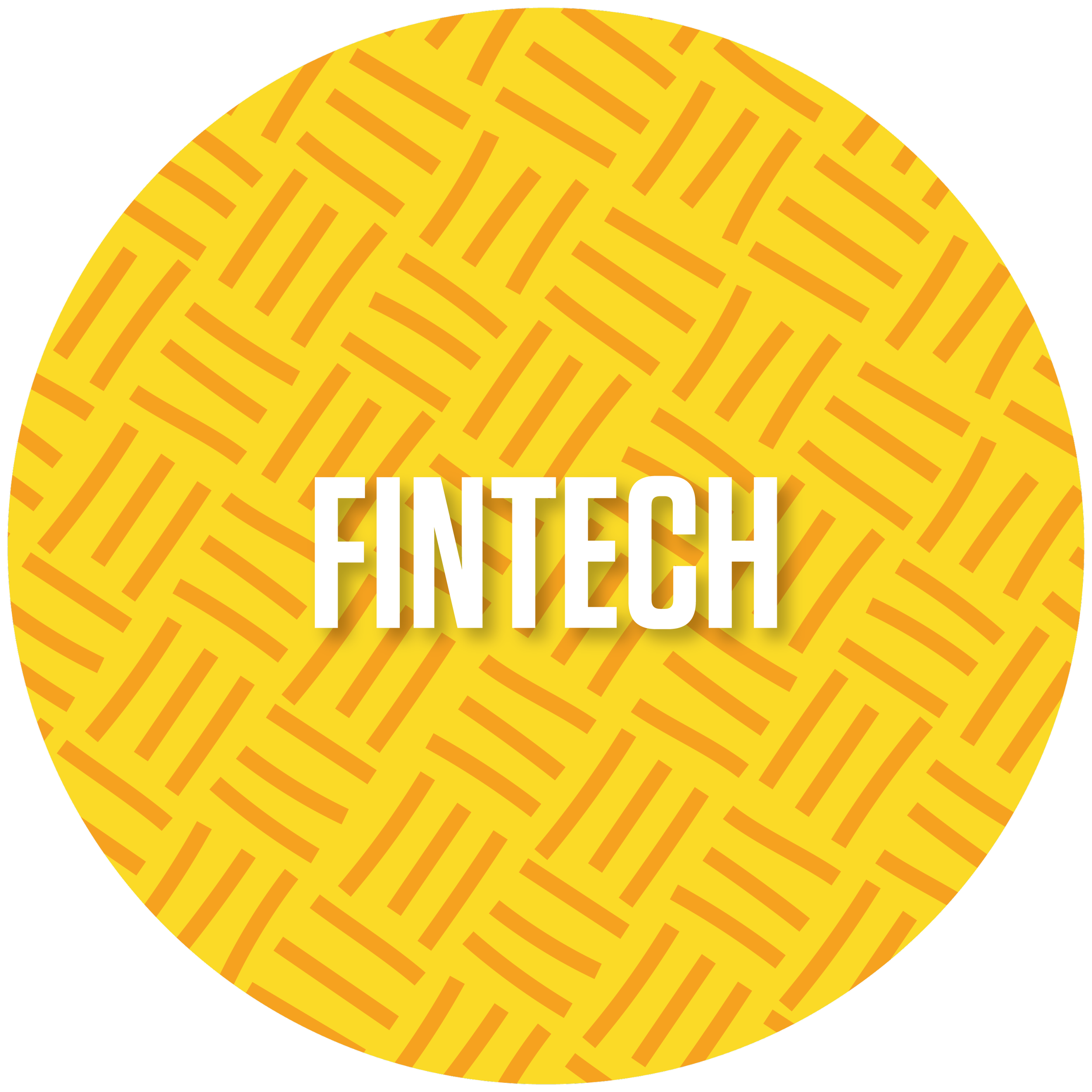 Website_Vertical Experience_700px circles_FinTech.png