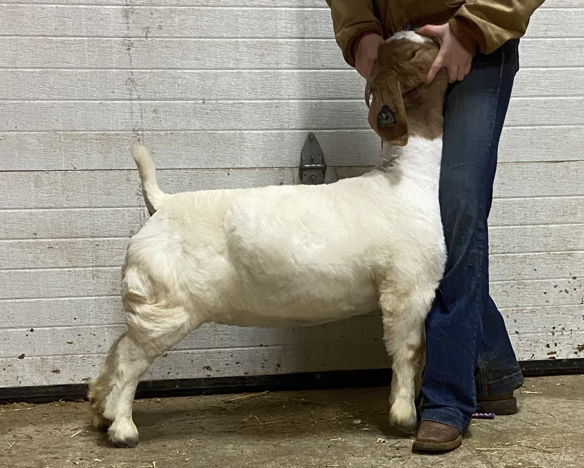 Screen Shot 2023-02-16 at 2.28.55 PM.png