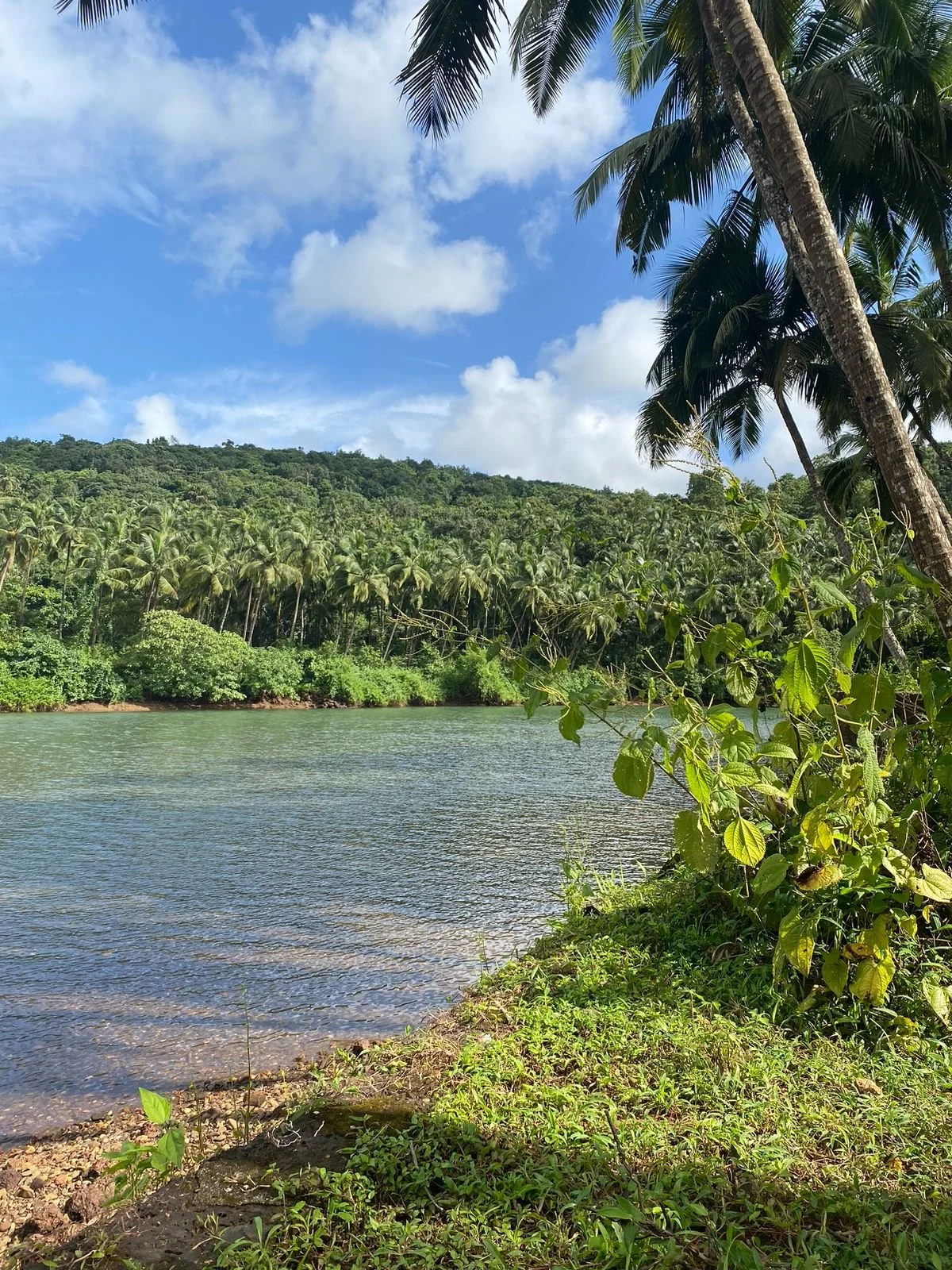 Jaali Sanctuary River Bank View.jpg