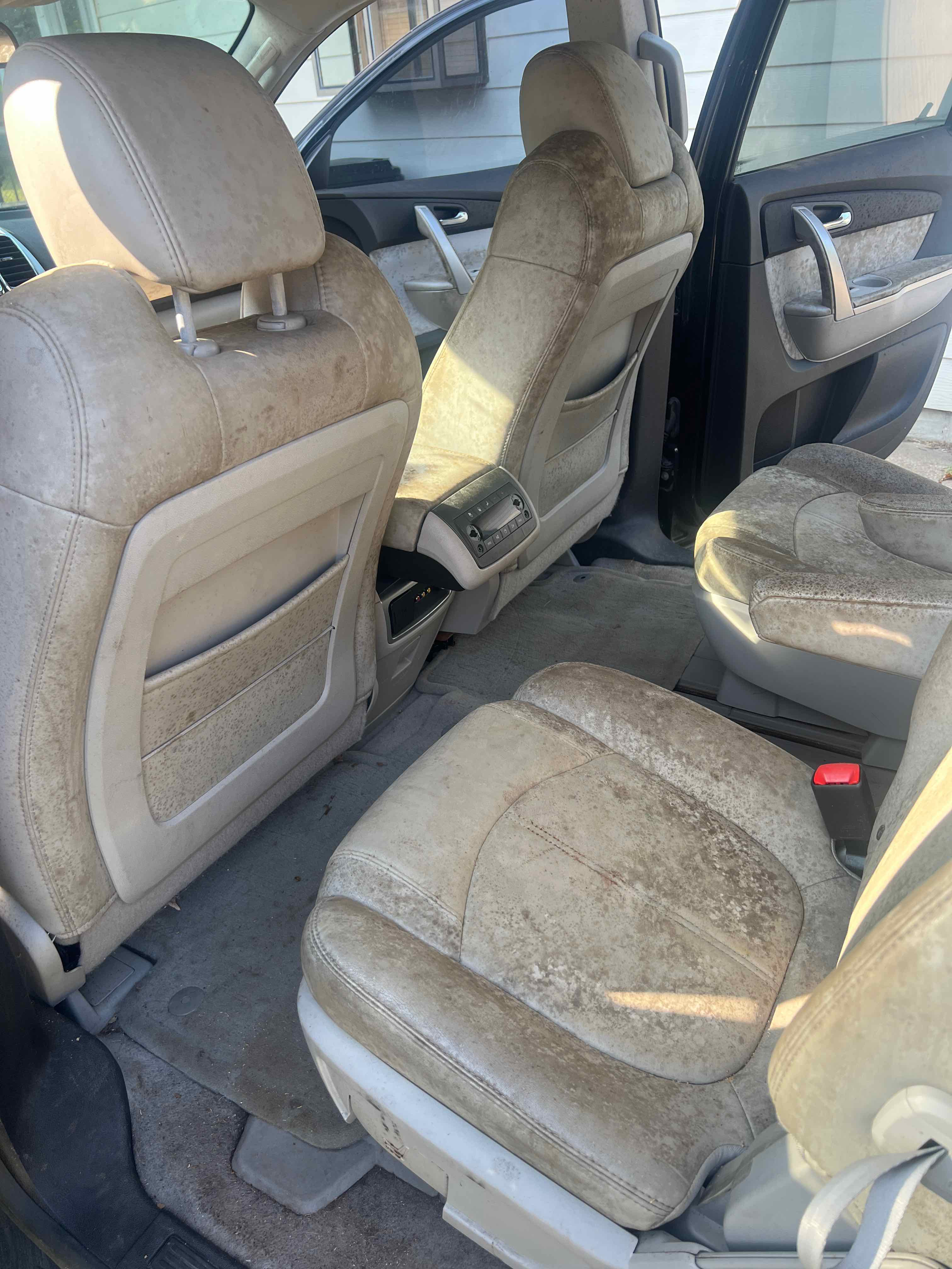 car mold remediation by a car detailer