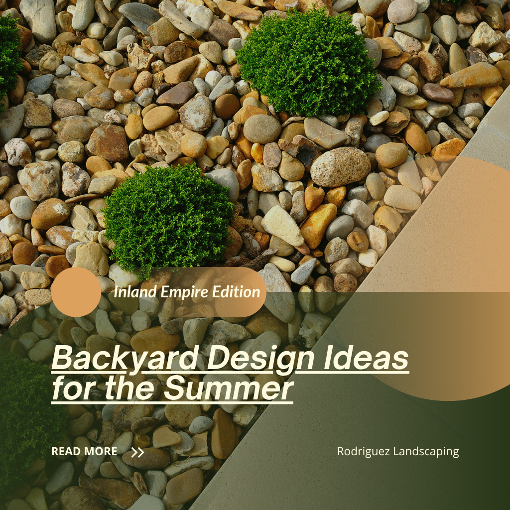 Backyard Design Ideas for the Summer