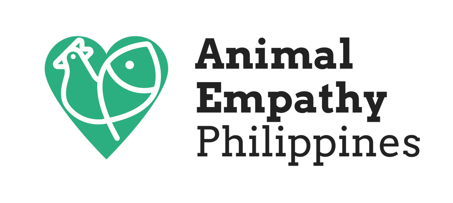 Animal Empathy Philippines