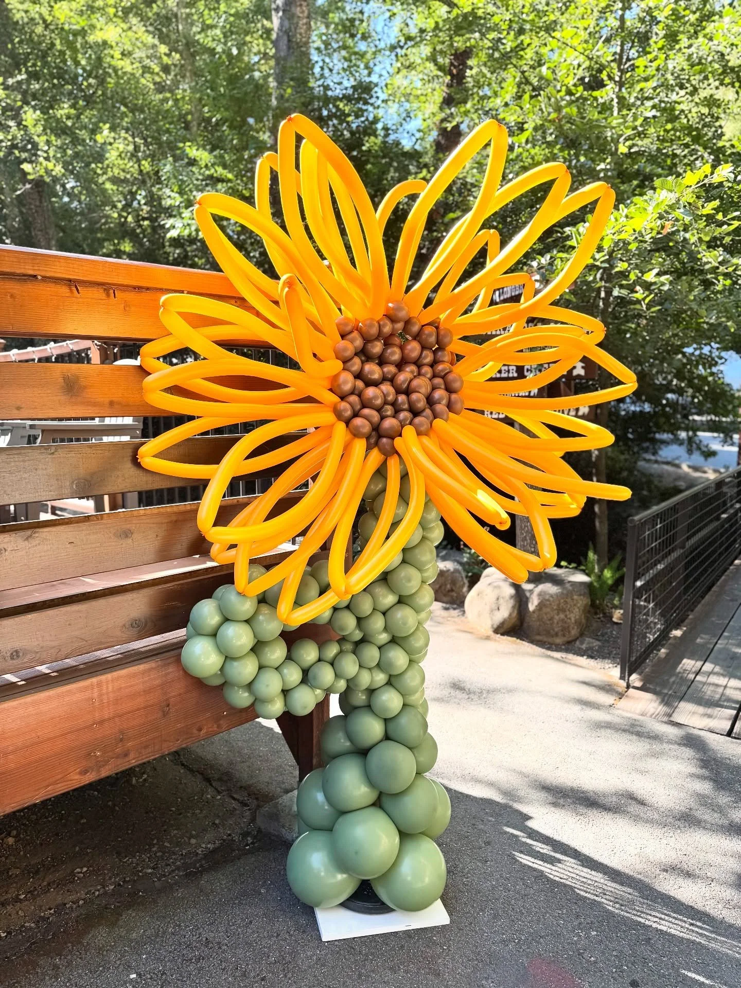 A matching pair of giant custom sunflower sculptures! I had so much fun creating these! 🌻🌻 

I used @kalisanballoons Eucalyptus, Amber and Chocolate Brown

#balloons #balloondecor #balloonsculpture #customballoon #sunflower #sunflowerballoons #corp