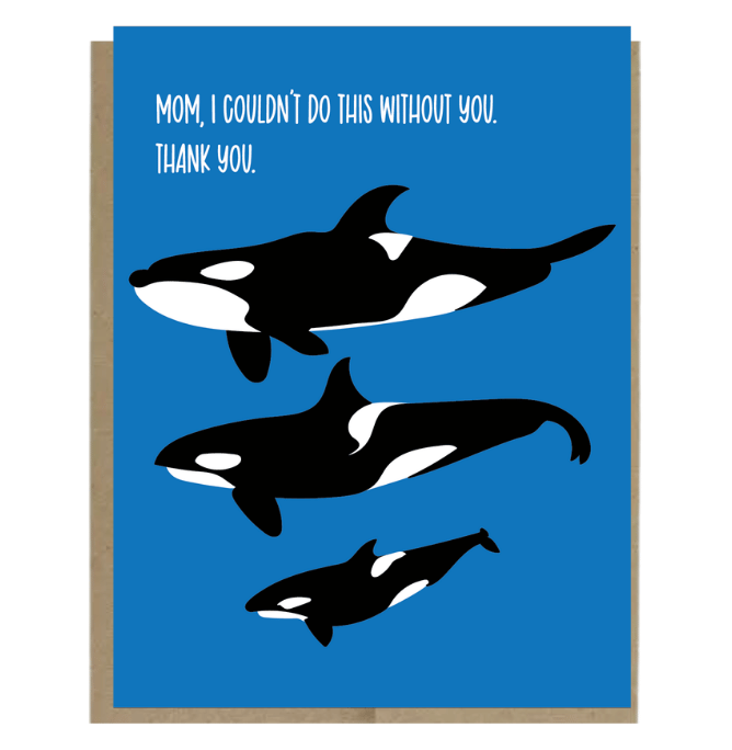 HAS 2026-2027 Catalog (7).png