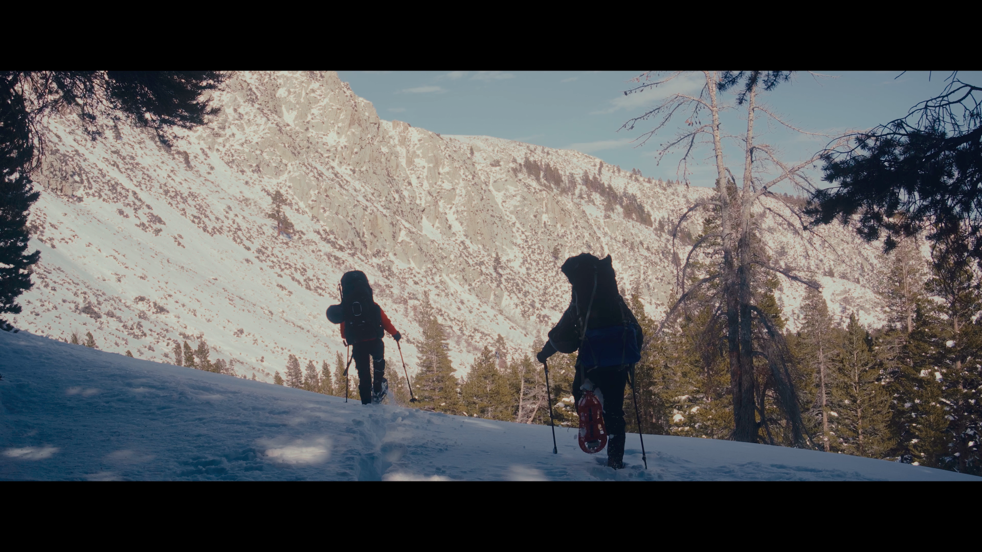 DARE TO BE DIFFERENT (2024)