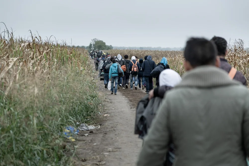  Asylum seekers cross the Serbian-Croatian border close to Tovarnik, Croatia. Sep 2015. 