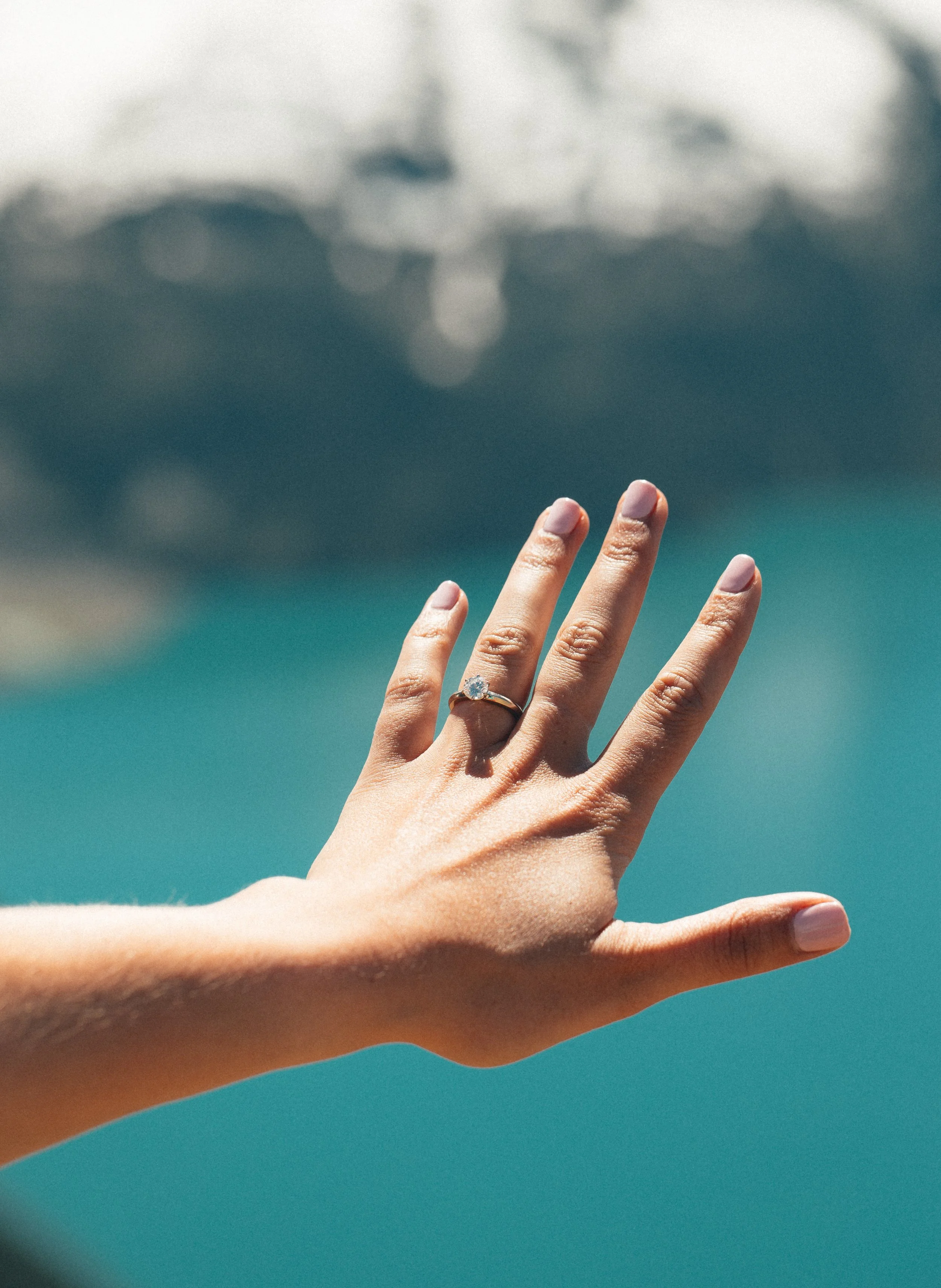 Matt & Britt Proposal-37.jpg