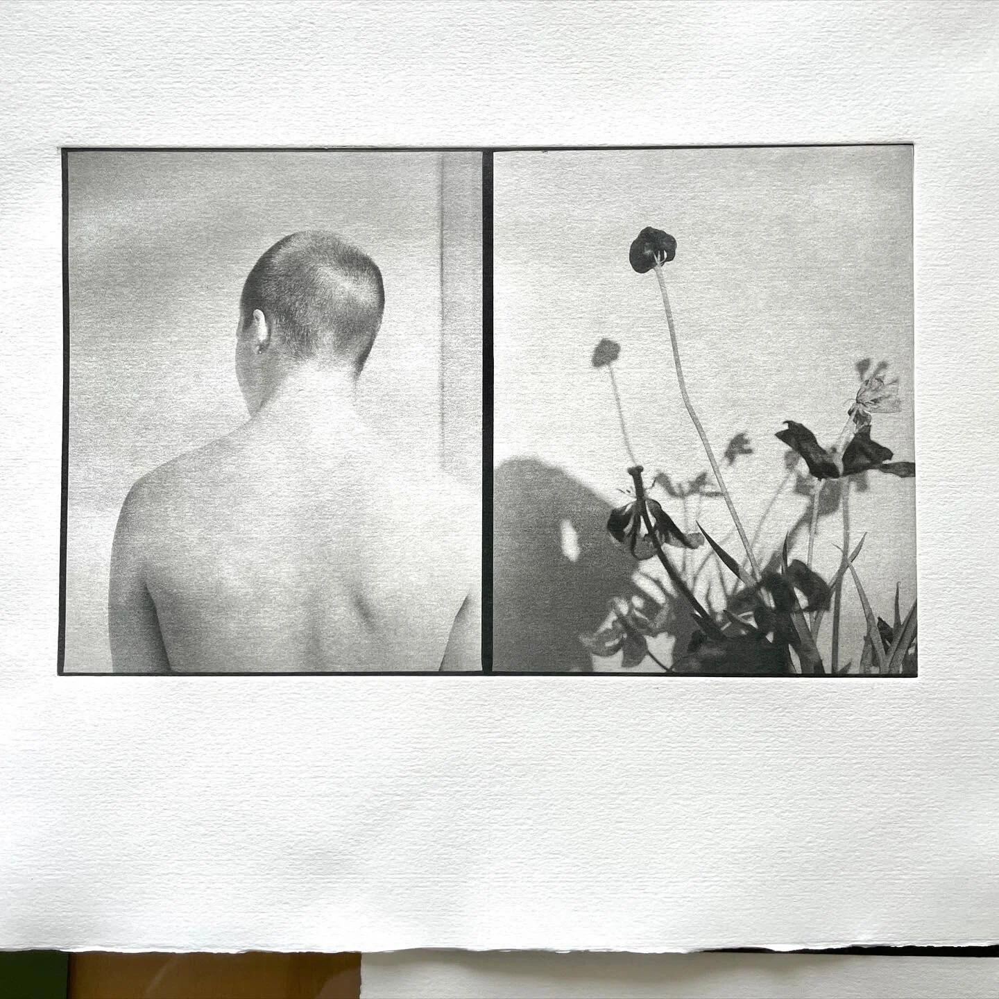 New photopolymergravure print of my son Marius and flowers. 35x50cm 265g Fabriano paper. 

#photopolymergravure #polymergravure #pentax67_105mm #pentax67 #ilfordhp5 #artprinting #vk3 #editionprint #directtoplatephotogravure #directtoplate #fabrianopa