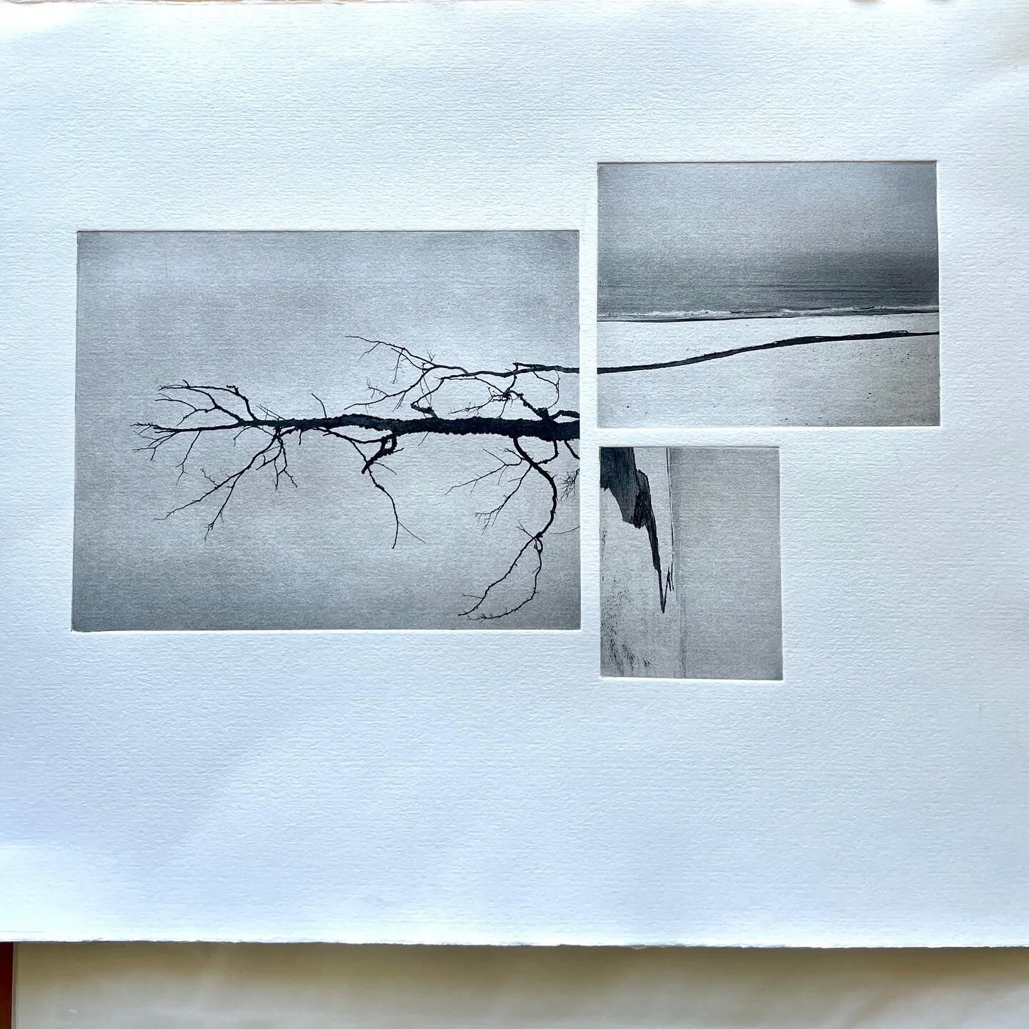 Photopolymergravure print on Fabriano 30x50cm paper. 

#photopolymergravure #artprint #vk3klitmoller #directoplate #photogravureprintmaking #landscapephotography  #analoglandscape #pentax67 #hp5