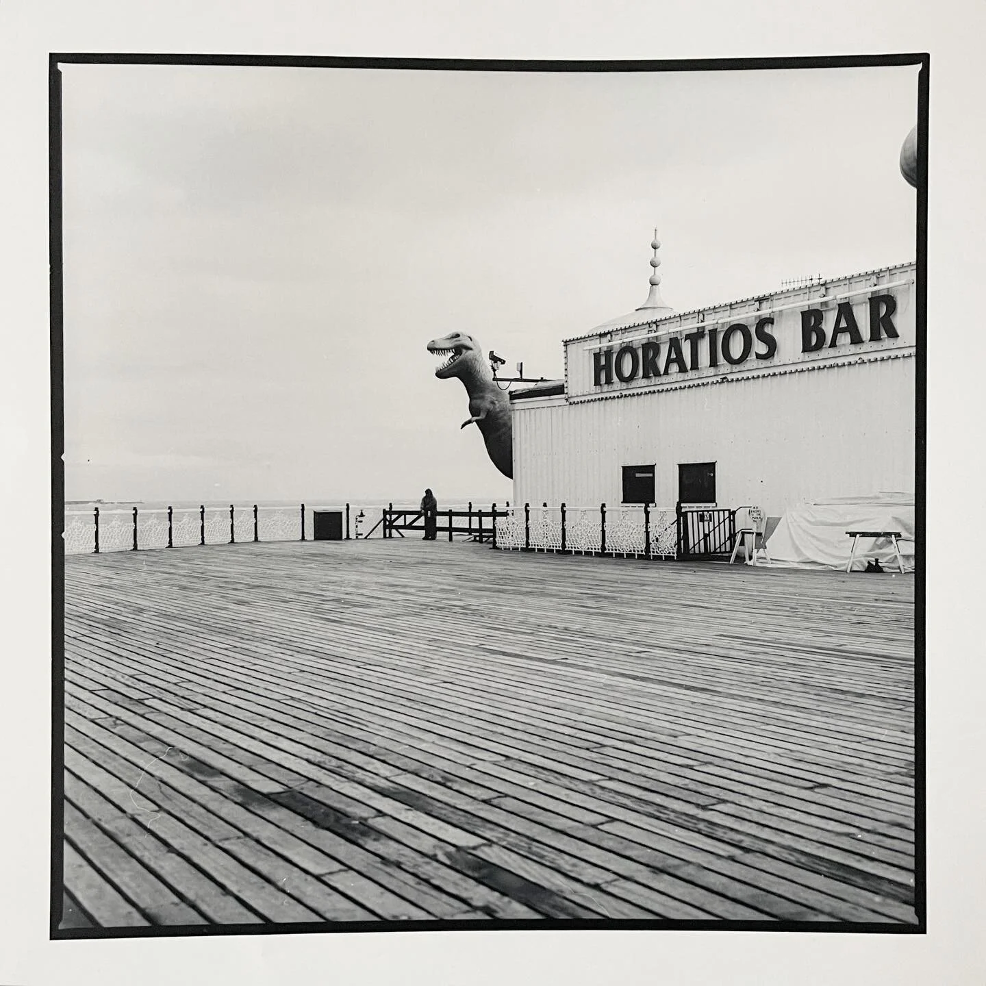 Woman &amp; Dino. Shot I Brighton using a Hasselblad and a 50mm lens and Ilford FP4 film.

#hasselblad #ilfordfp4 #shotonﬁlm #filmphotography #brighton #6x6 #blackandwhitephotography