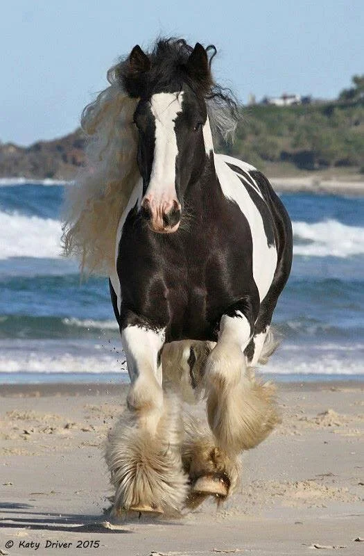 GB Atlantis1 - Copy.jpg