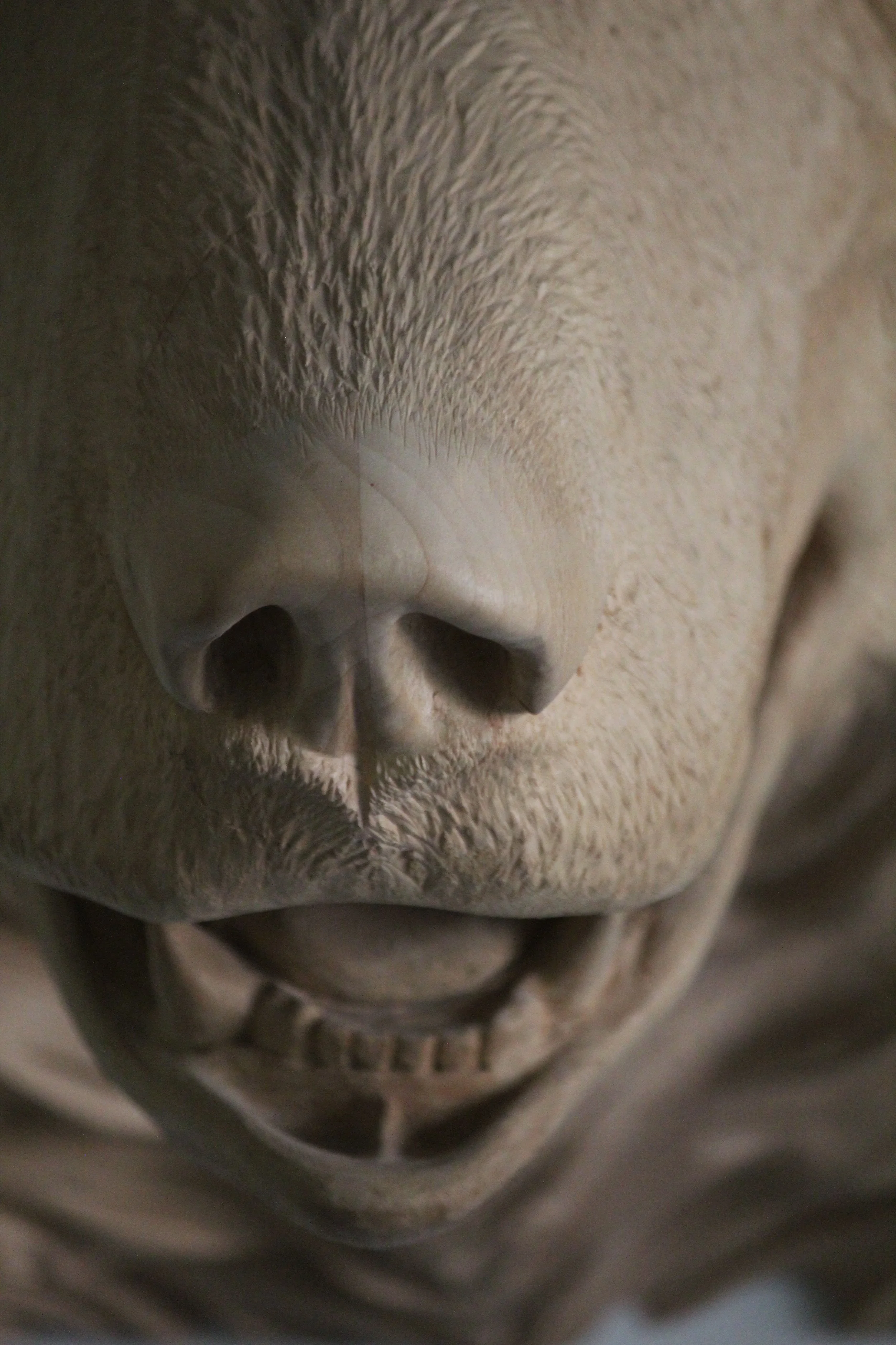 Braunbär aus Linde von Nadine Schmid, Atelier HOLZAB Holzbildhauerei Thun 