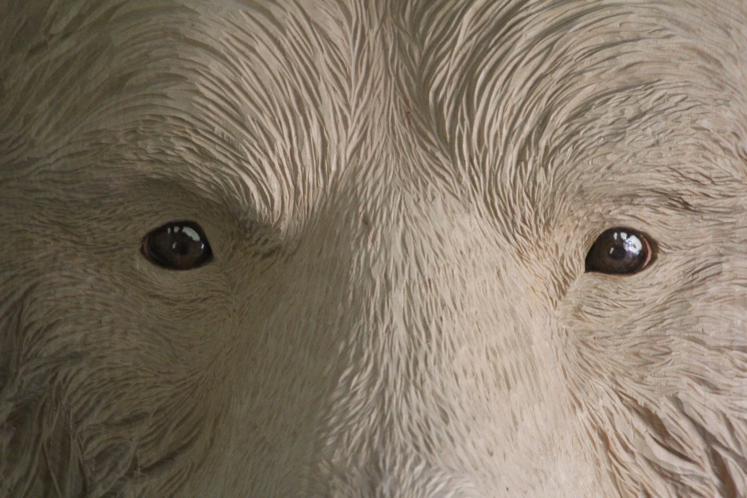 Braunbär aus Linde von Nadine Schmid, Atelier HOLZAB Holzbildhauerei Thun 