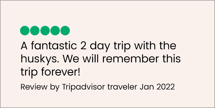 More 5 star reviews from tour guests on Snowdog TripAdvisor  (Copy) (Copy) (Copy)