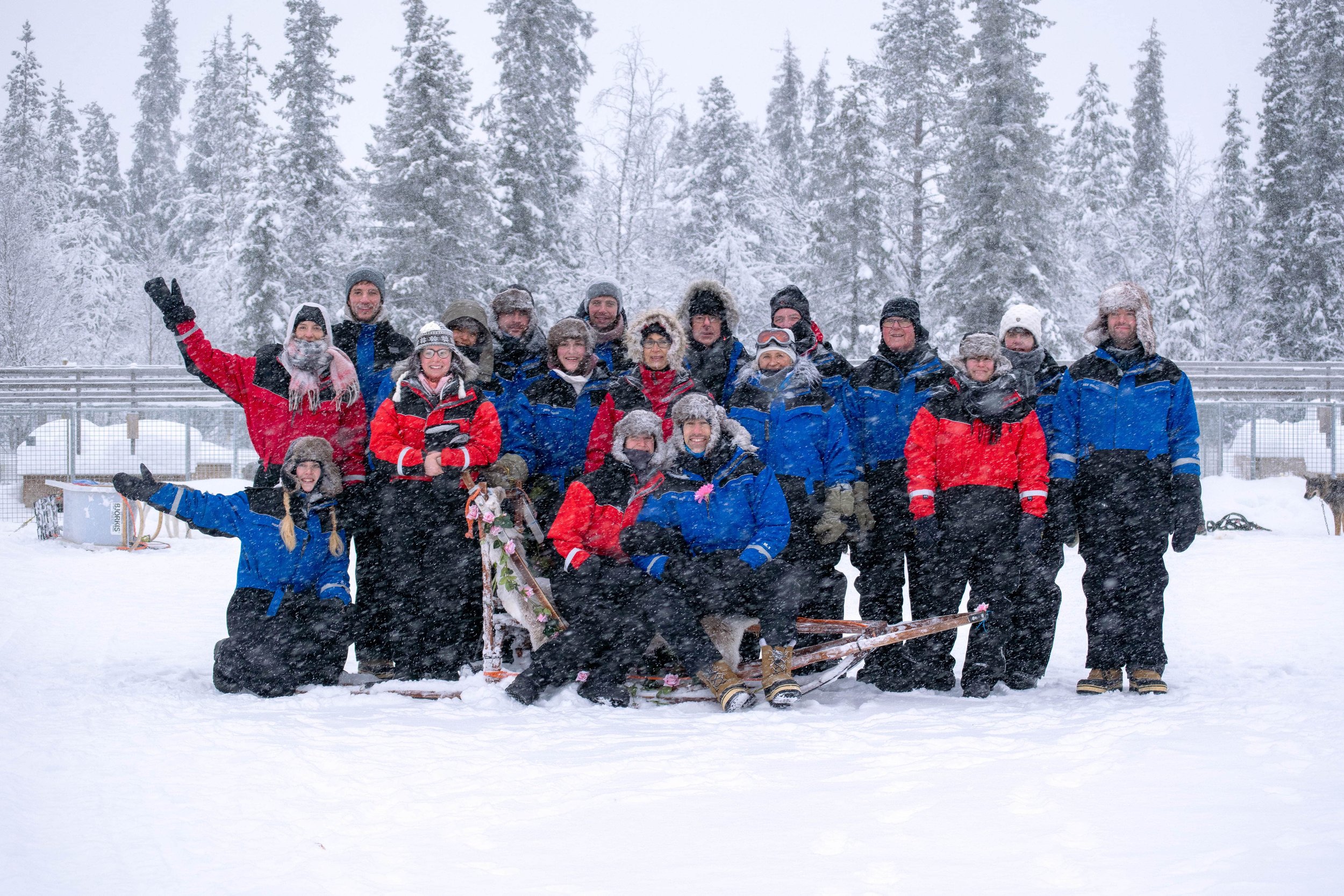 Keep warm with the dog sledding team at Snowdog, Kiruna