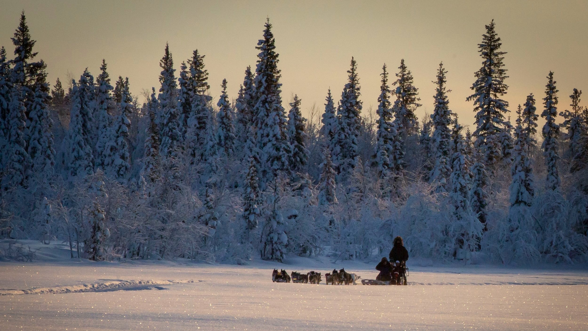 Sunset Husky Dog sledding tours with Snowdog - Kiruna (Swedish Lapland) 