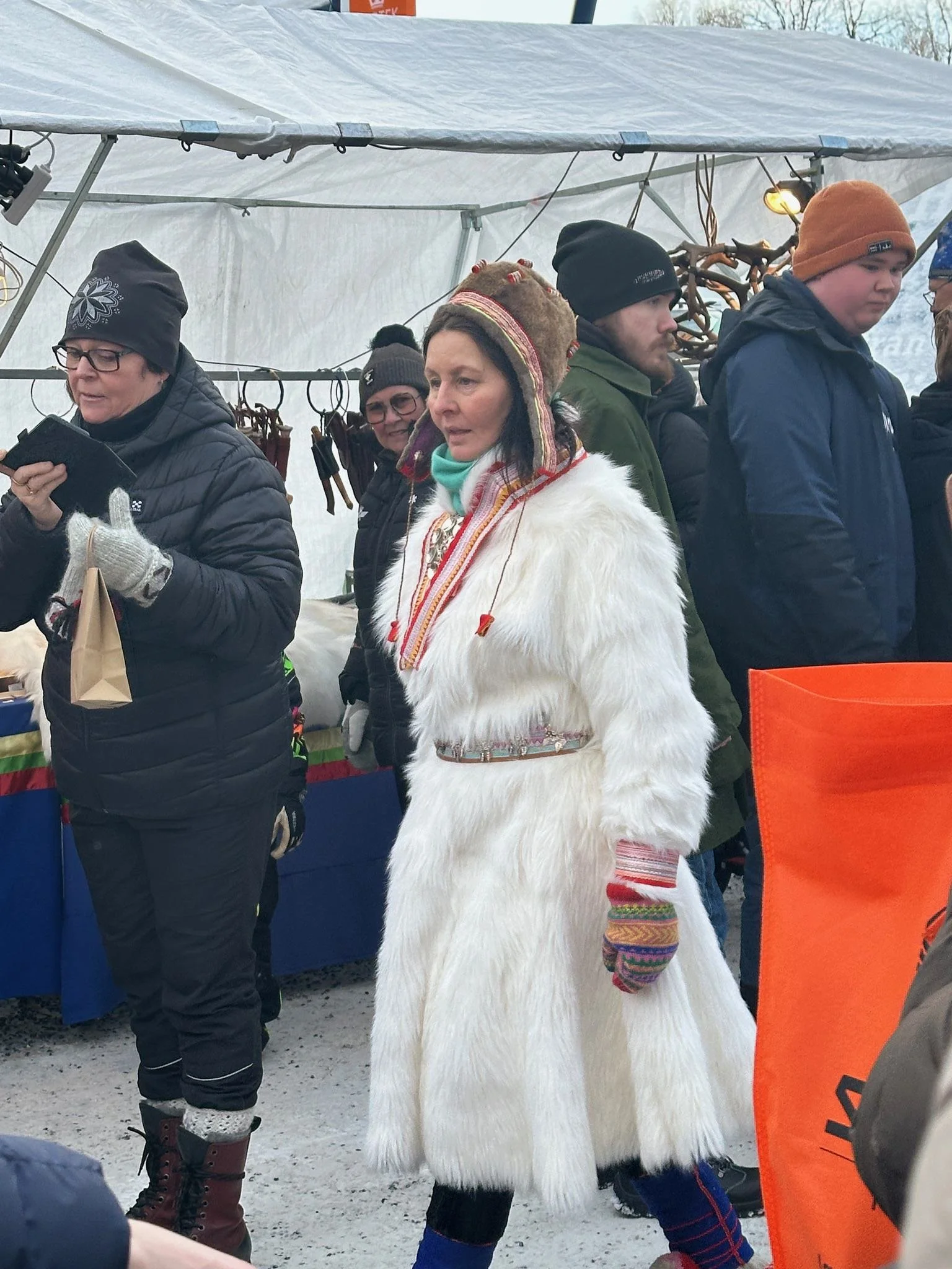 The Sámi Culture - Snowdog - Kiruna's favourite husky dog sledding