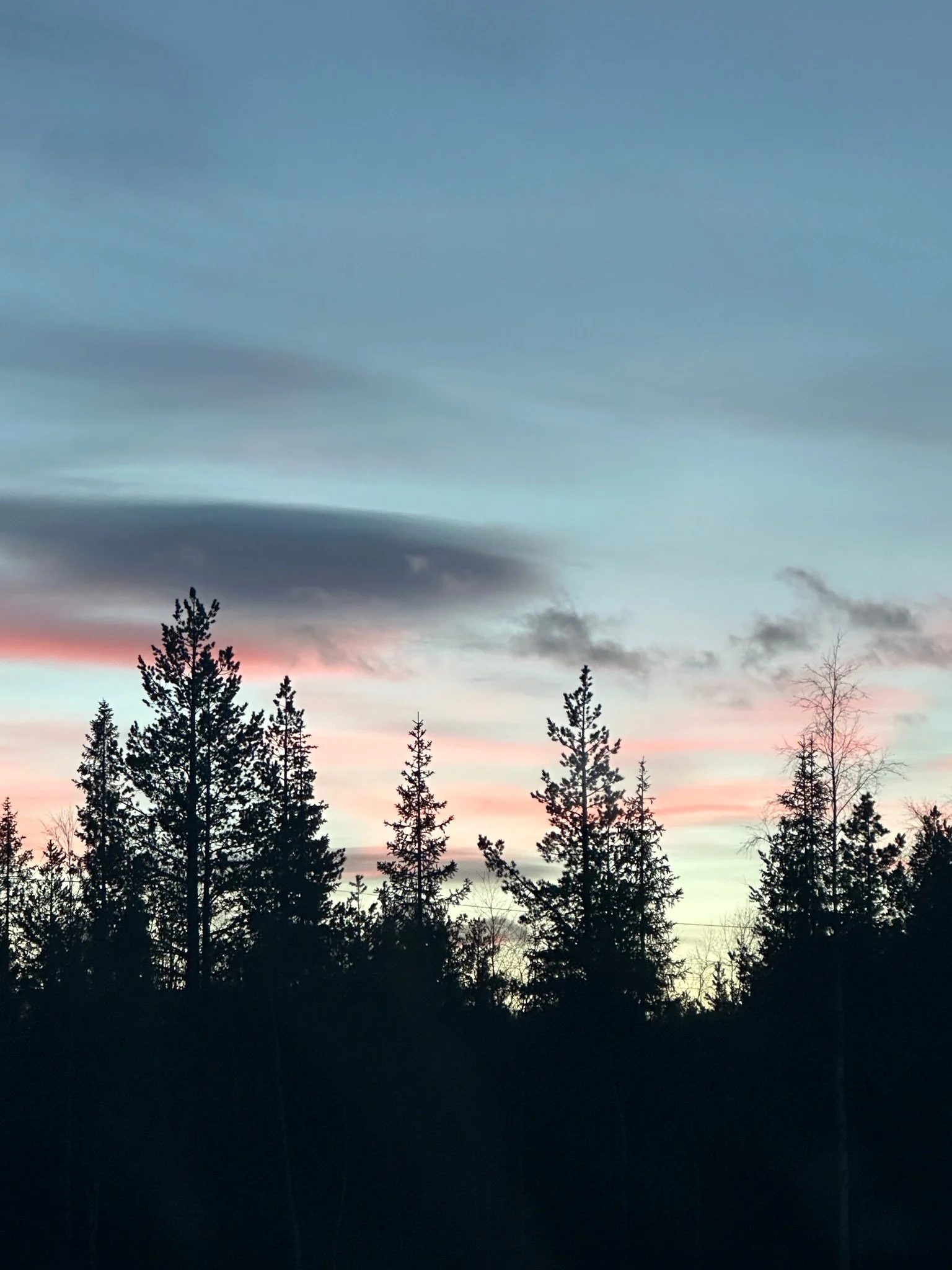 IMG_1641.jpeg