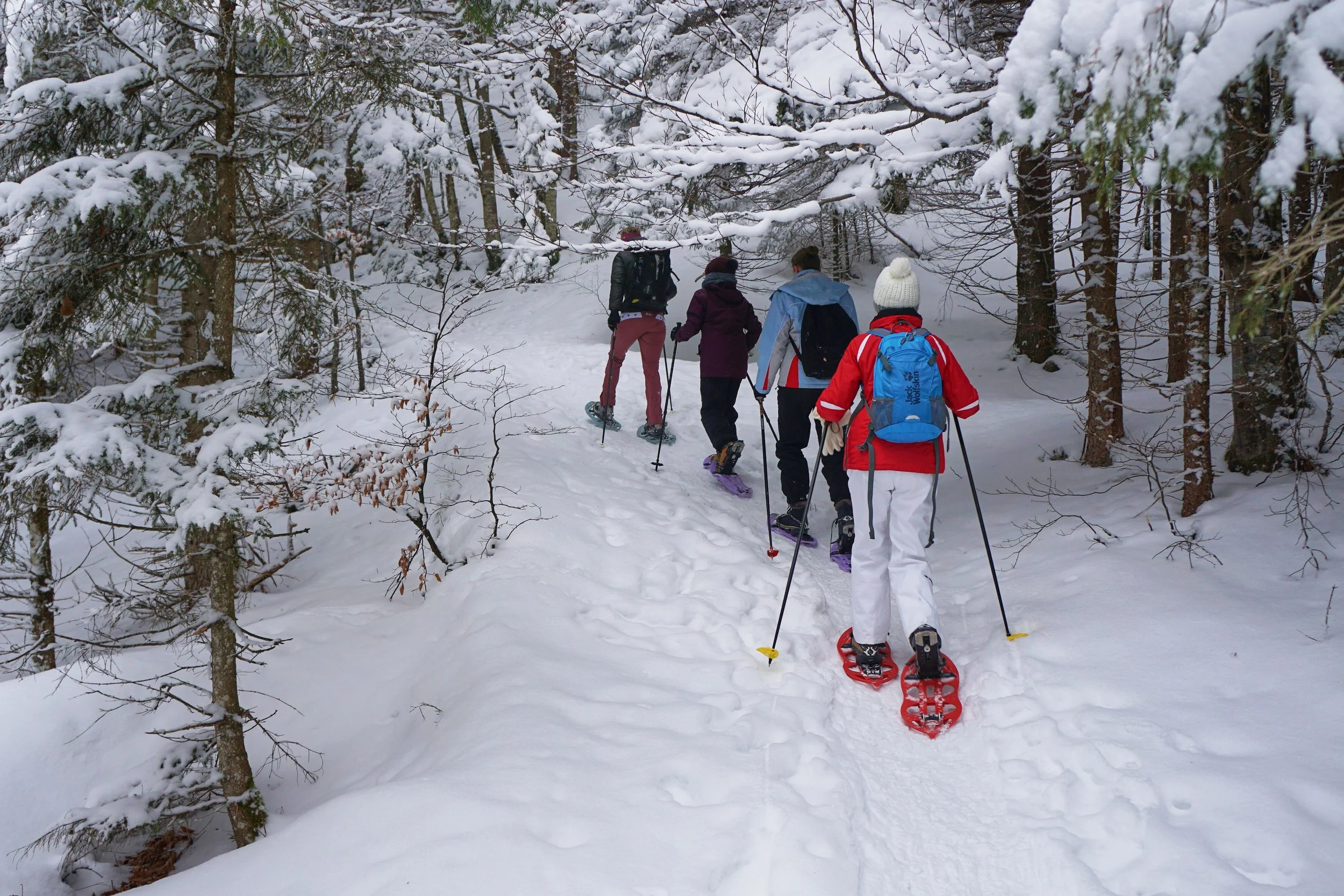 Snowshoe walking in Kiruna.jpg